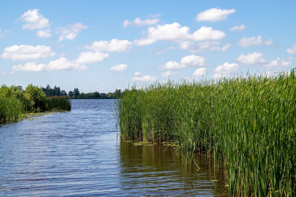 Prive Sloep Giethoorn 9